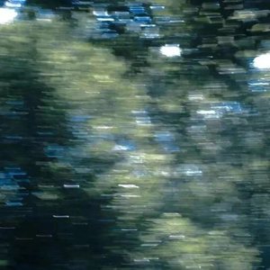 男女作爱网站免费
