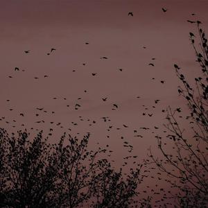 男女作爱网站免费
